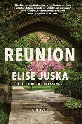 Stock image for Reunion: A Novel for sale by BooksRun