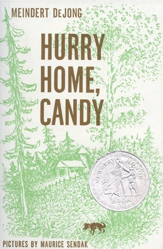 Beispielbild fr Hurry Home, Candy zum Verkauf von HPB-Emerald