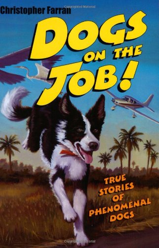 Beispielbild fr Dogs on the Job!: True Stories of Phenomenal Dogs zum Verkauf von Your Online Bookstore