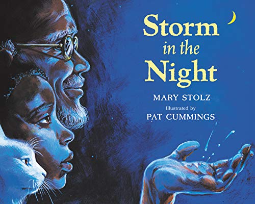 Beispielbild fr Storm in the Night zum Verkauf von Gulf Coast Books