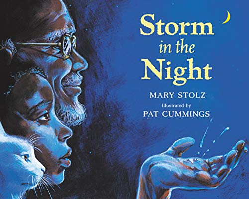 Imagen de archivo de Storm in the Night a la venta por SecondSale