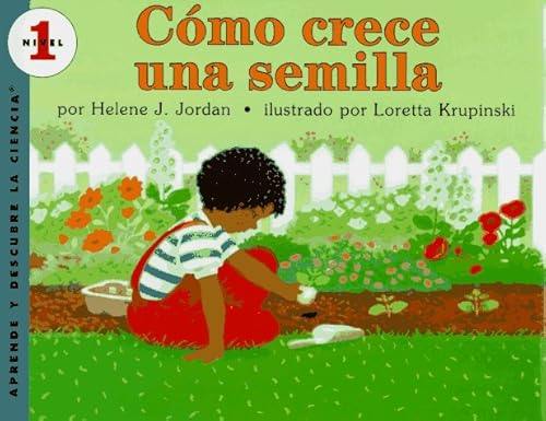 Stock image for Como Crece Una Semilla / How a Seed Grows (Let'S-Read-And-Find-Out Science) (Spanish Edition) for sale by SecondSale