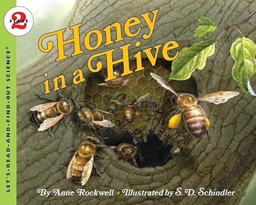 Honey in a Hive (Let's-Read-and-Find-Out Science 2) (9780064452045) by Rockwell, Anne