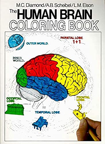 Imagen de archivo de The Human Brain Coloring Book (Coloring Concepts) a la venta por Orion Tech