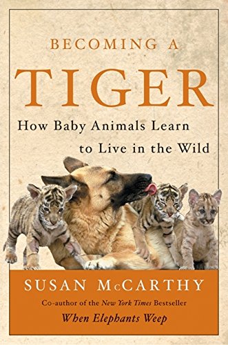 Beispielbild fr Becoming a Tiger : How Baby Animals Learn to Live in the Wild zum Verkauf von Better World Books