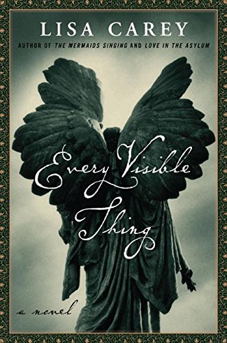 9780066212890: Every Visible Thing: A Novel
