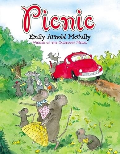 Stock image for Picnic for sale by Kennys Bookshop and Art Galleries Ltd.