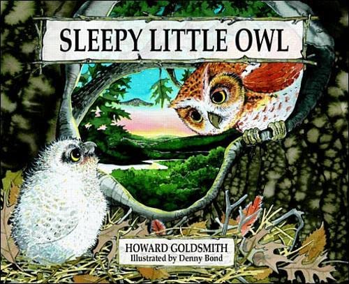 Imagen de archivo de Sleepy Little Owl a la venta por Better World Books