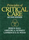 9780070259348: Principles of Critical Care