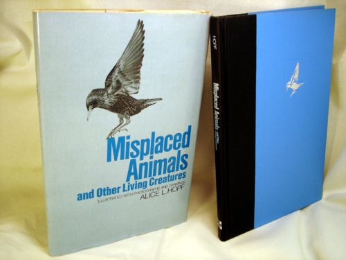 Stock image for Misplaced animals, and other living creatures for sale by Basement Seller 101