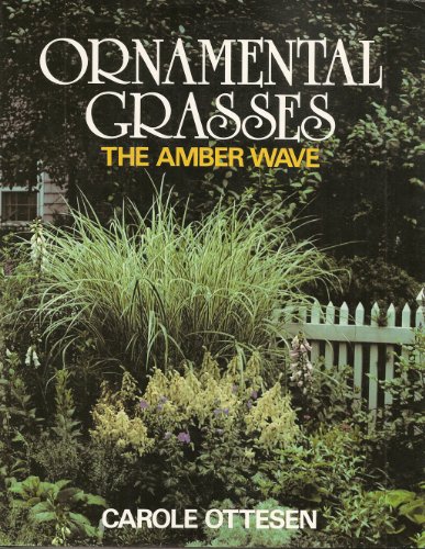 Ornamental Grasses: The Amber Wave