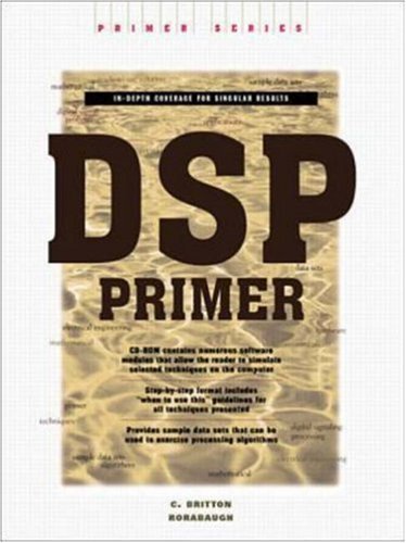 Stock image for DSP Primer for sale by HPB-Red