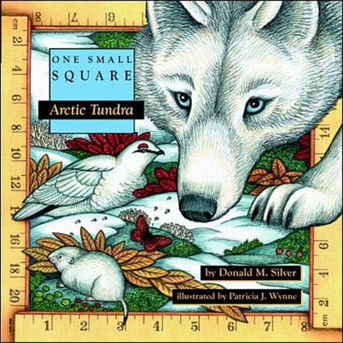 Imagen de archivo de Arctic Tundra a la venta por SecondSale