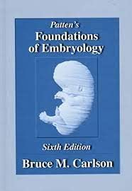 9780071140935: Patten's Foundations of Embryology