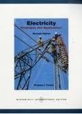 9780071285933: Electricity: Principles and Applications with Simulation CD-ROM