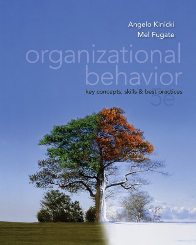 9780071317504: Organizational Behavior: Key Concepts, Skills and Best Practices