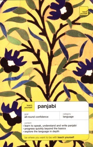 9780071431613: Teach Yourself Panjabi Complete Course