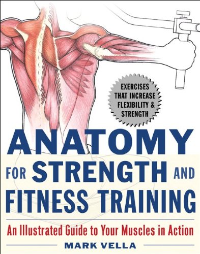 Stock image for Anatomy for Strength and Fitness Training: An Illustrated Guide to Your Muscles in Action for sale by ZBK Books
