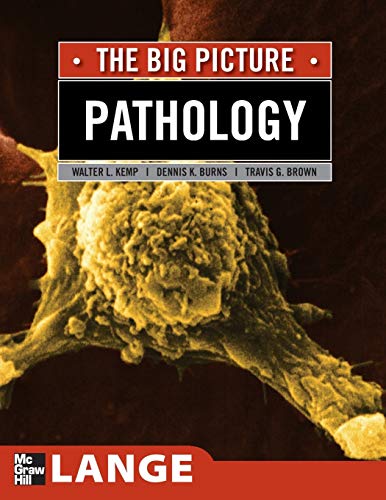 Beispielbild fr Pathology: The Big Picture (LANGE The Big Picture) zum Verkauf von BooksRun