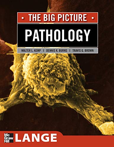 Imagen de archivo de Pathology: The Big Picture (LANGE The Big Picture) a la venta por BooksRun