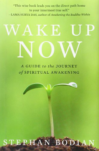 Beispielbild fr Wake Up Now: A Guide to the Journey of Spiritual Awakening zum Verkauf von SecondSale