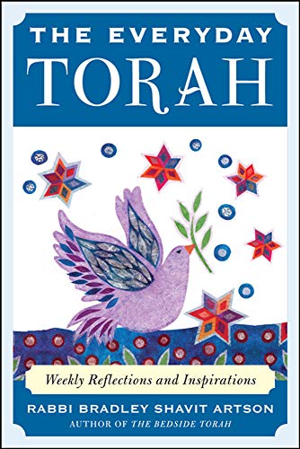 9780071546195: The Everyday Torah: Weekly Reflections And Inspirations (NTC SELF-HELP)