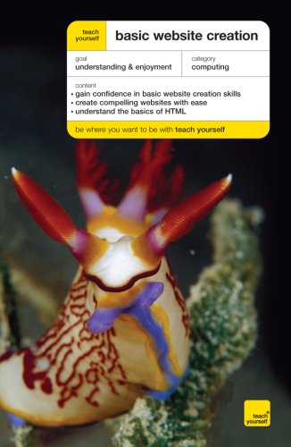 9780071621434: Teach Yourself Basic Website Creation