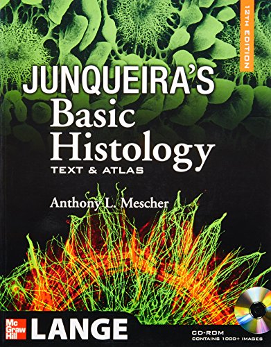 Stock image for Junqueira's Basic Histology: Text and Atlas, 12th Edition for sale by BooksRun
