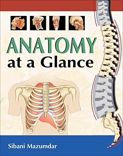 Stock image for Anatomy at a Glance for sale by R Bookmark