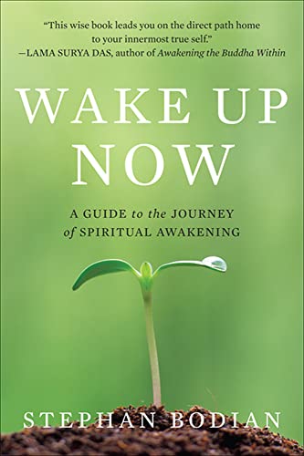 Stock image for Wake up Now for sale by Better World Books