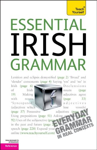 9780071752671: Teach Yourself Essential Irish Grammar: From Beginner to Intermediate Reference