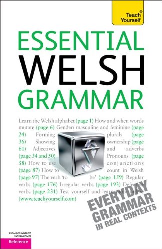 9780071759939: Teach Yourself Essential Welsh Grammar: From Beginner to Intermediate Reference