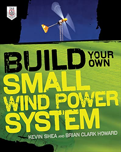 Beispielbild fr Build Your Own Small Wind Power System zum Verkauf von Better World Books