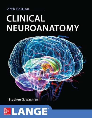 Beispielbild fr Clinical Neuroanatomy 27/E (Lange Medical Book) zum Verkauf von BooksRun