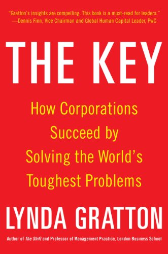 Stock image for The Key: How Corporations Succeed by Solving the World's Toughest Problems (BUSINESS BOOKS) for sale by WorldofBooks