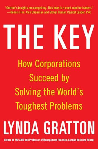 Stock image for The Key: How Corporations Succeed by Solving the World's Toughest Problems for sale by SecondSale