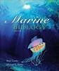 Beispielbild fr Marine Biology zum Verkauf von Wonder Book