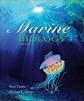 Imagen de archivo de Marine Biology: a la venta por ThriftBooks-Atlanta