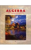 Imagen de archivo de Beginning and Intermediate Algebra Hall, James W.; Mercer, Brian A. a la venta por Iridium_Books