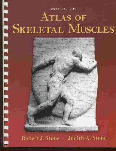 Stock image for Atlas of Skeletal Muscles (Us Edt) for sale by Ergodebooks