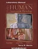 Beispielbild fr Human Anatomy & Physiology zum Verkauf von HPB-Red
