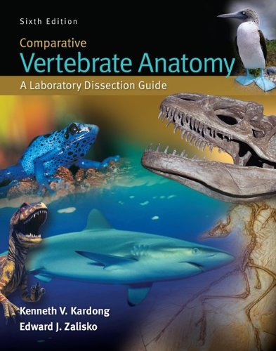 Stock image for Comparative Vertebrate Anatomy: A Laboratory Dissection Guide for sale by dsmbooks