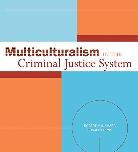 Beispielbild für Multiculturalism in the Criminal Justice System zum Verkauf von SecondSale