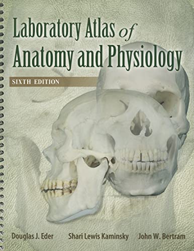 Imagen de archivo de Laboratory Atlas of Anatomy and Physiology a la venta por Revaluation Books
