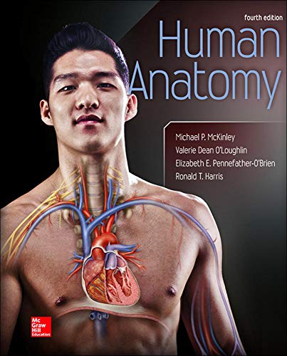 Imagen de archivo de Human Anatomy a la venta por Chequamegon Books