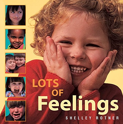 9780076581757: Lot's of Feelings Little Book: Little Book