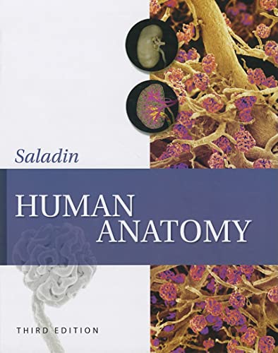 Beispielbild fr Human Anatomy zum Verkauf von Better World Books