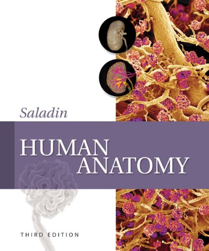 9780077403232: Human Anatomy + Connect Plus Access Card