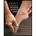9780077669584: [ HOLE'S HUMAN ANATOMY AND PHYSIOLOGY BY LEWIS, RICKI](AUTHOR)PAPERBACK
