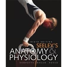 Beispielbild fr SEELEY'S ANATOMY+PHYSIOLOGY >C zum Verkauf von Better World Books